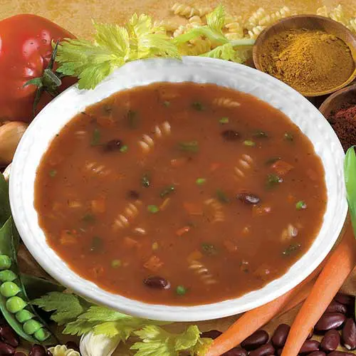 Minestrone soup (MS01) with vegetables and pasta